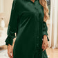 Velvet Collared Neck Long Sleeve Mini Dress